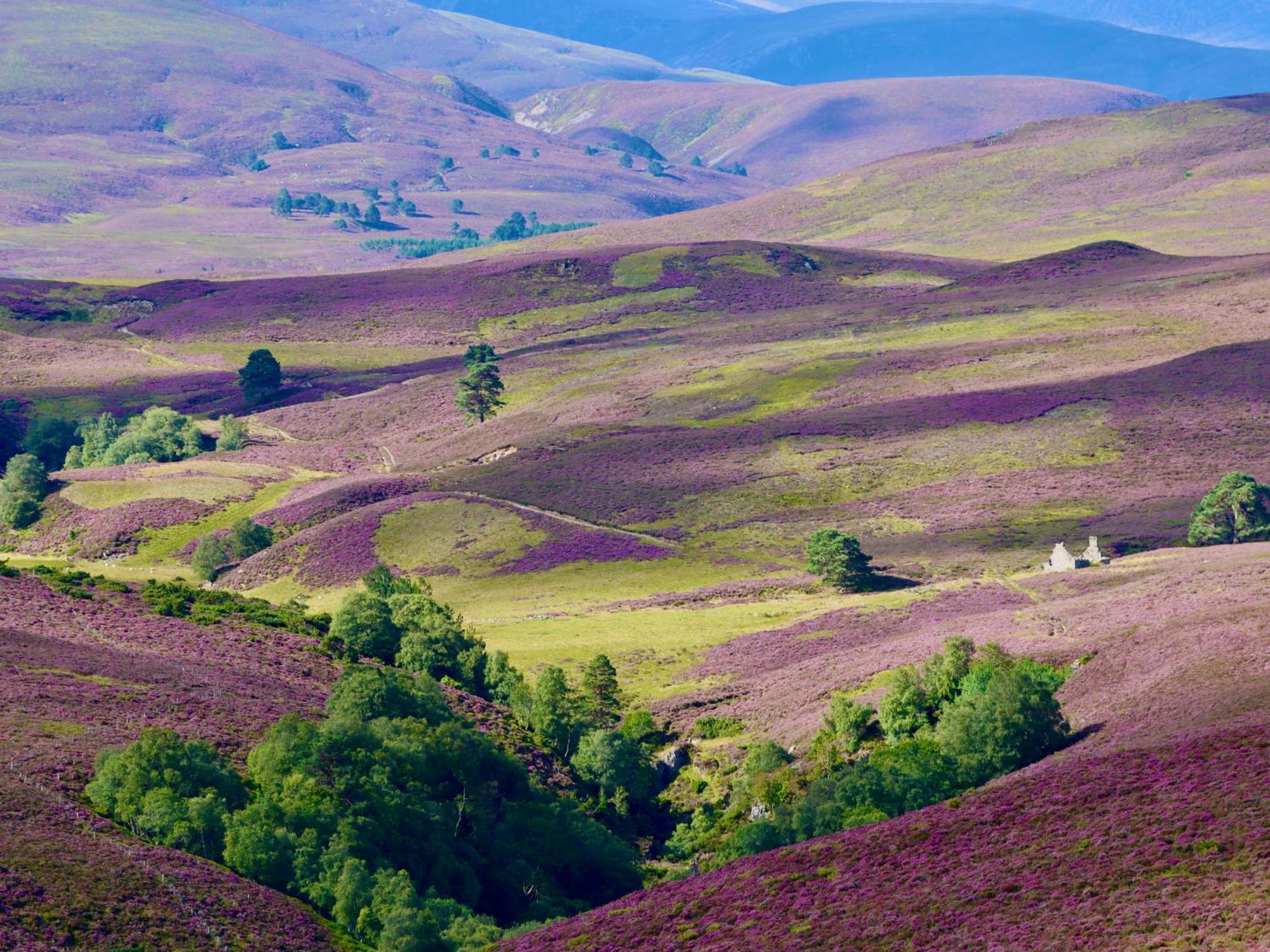 Kilmuir Cottage Tomintoul Εξωτερικό φωτογραφία